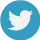 twitter icon